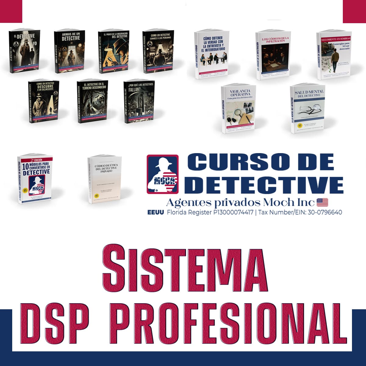 Sistema DSP Profesional – Formación Completa con Curso